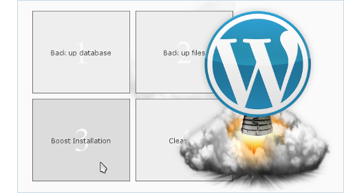 Wordpress Booster Interface and Icon